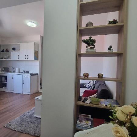 Victory Apartment Nikšić Buitenkant foto